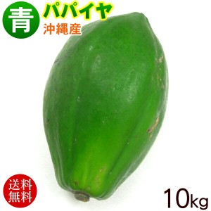 沖縄産 青パパイヤ 約10kg　/沖縄野菜 パパイン酵素