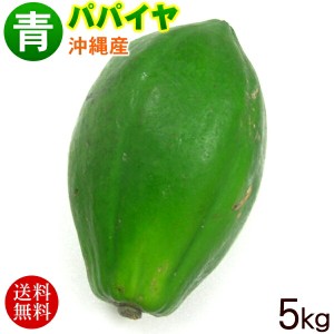 沖縄産 青パパイヤ 約5kg 　/沖縄野菜 パパイン酵素