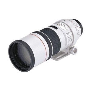 (中古品)Canon 単焦点望遠レンズ EF300mm F4L IS USM フルサイズ対応