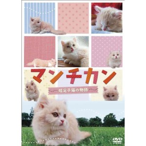 (中古品)マンチカン ?短足子猫の物語? DVD