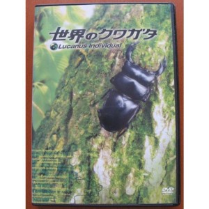 (中古品)世界のクワガタ DVD