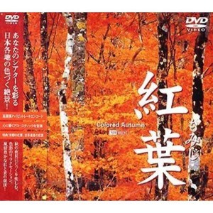 (中古品)紅葉-もみじ- DVD