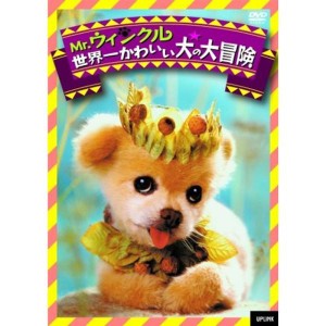 (中古品)Mr.ウィンクル 世界一かわいい犬の大冒険 DVD