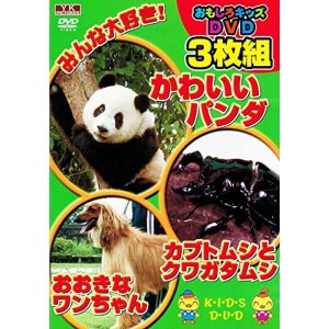 (中古品)おもしろキッズDVD 3枚組 3