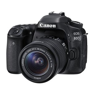 (中古品)Canon デジタル一眼レフカメラ EOS 80D レンズキット EF-S18-55mm F3.5-5.6 IS STM 付属 EOS80D