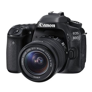 canon 80d 中古の通販｜au PAY マーケット