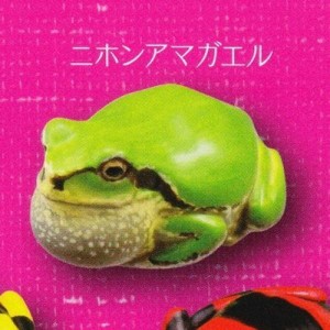 (中古品)カプセルQミュージアム 財布にカエル お財布蛙 ［1.ニホンアマガエル］(単品)