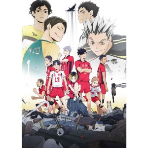 (中古品)OVA『ハイキュー? 陸 VS 空』 DVD