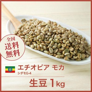 開店セール！コーヒー生豆 1kg モカ シダモG-4 エチオピア 送料無料 大山珈琲