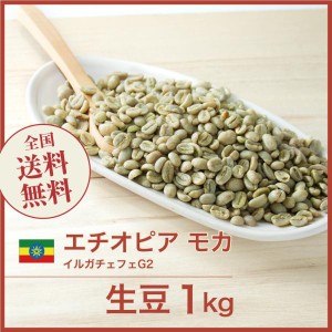 開店セール！コーヒー生豆 1kg モカ イルガチャフェ G-2 エチオピア 送料無料 大山珈琲