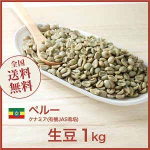 開店セール！コーヒー生豆 1kg ペルー クナミア(有機JAS栽培) 送料無料 大山珈琲