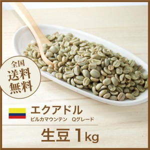 開店セール！コーヒー生豆 1kg エクアドル ビルカマウンテン Qグレード 送料無料 大山珈琲