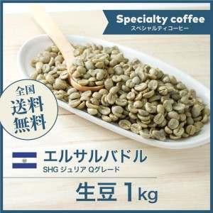 開店セール！コーヒー生豆 1kg エルサルバドルSHG ジュリア Qグレード 送料無料 大山珈琲