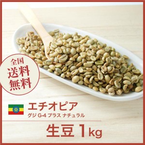 開店セール！コーヒー生豆 1kg モカ グジ G-4 プラス ナチュラル エチオピア 送料無料 大山珈琲