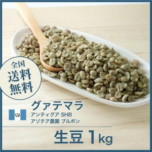 開店セール！コーヒー生豆 1kg グアテマラ アンティグア SHB アゾテア農園 ブルボン 送料無料 大山珈琲 グアテマラ ガテマラ