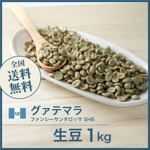 開店セール！コーヒー生豆 1kg グアテマラ ファンシーサンタロッサ SHB 送料無料 大山珈琲 グアテマラ ガテマラ