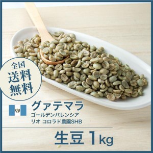 開店セール！コーヒー生豆 1kg グアテマラ ゴールデンパレンシア リオ コロラド農園SHB 送料無料 大山珈琲 グアテマラ ガテマラ