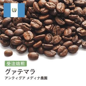 受注焙煎！2kg グァテマラ アンティグア メディナ農園 Qグレード [ニュークロップ] コーヒー [選べる焙煎度合い] コーヒー豆 送料無料 大