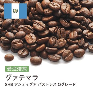 受注焙煎！2kg グァテマラ SHB アンティグア パストレス Qグレード [ニュークロップ] コーヒー [選べる焙煎度合い] コーヒー豆 送料無料 