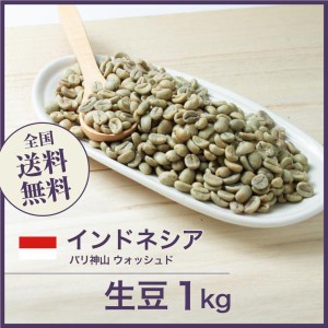 コーヒー生豆 1kg インドネシア バリ神山 ウォッシュド 送料無料 大山珈琲 開店セール