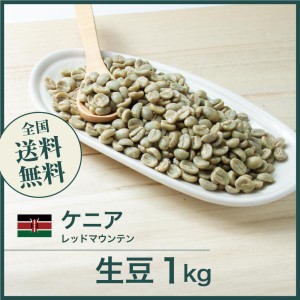 コーヒー生豆 1kg ケニア AA TOP レッドマウンテン 2022年クロップ 送料無料 大山珈琲 開店セール