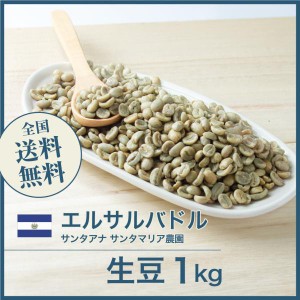 コーヒー生豆 1kg エルサルバドル サンタアナ サンタマリア農園 送料無料 大山珈琲 開店セール