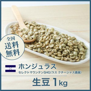 コーヒー生豆 1kg ホンジュラス セレクトマウンテンSHG（ラス クチージャス農園） 送料無料 大山珈琲 開店セール