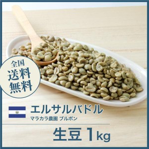 コーヒー生豆 1kg エルサルバドル マラカラ農園 ブルボン 送料無料 大山珈琲 開店セール