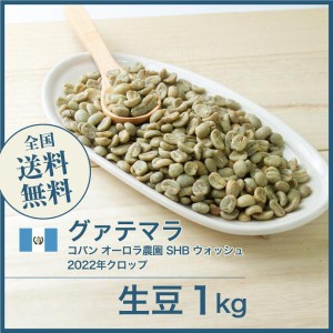 コーヒー生豆 1kg グアテマラ コバン オーロラ農園 SHB ウォッシュ 2022年クロップ 送料無料 大山珈琲 開店セール