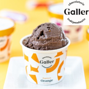 ガレー アイスクリーム セット GLN-8 送料無料 プレミアムアイスクリーム８個セット チョコレートアイスクリーム プレミアムアイスクリー