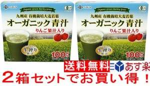 【数量限定 値引き】在庫限り 特売 永井海苔 リンゴ オーガニック 青汁 りんご果汁入り 100包×2箱 Apple Organic Green Juice 100 Count