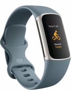 fitbit Charge 5 健康管理トラッカー FB421SRBU-FRCJK スチールブルー／プラチナ ステンレススチール 青  Fitness & Health GPS搭載 ペー