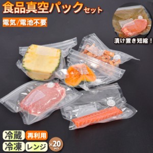 食品真空パックセット 真空ポンプ & 保存袋 20枚 再利用 真空フードポンプセット 真空パック 袋 冷凍保存 保存袋 真空 密封 密閉 食品保