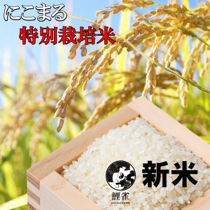 （定期購入）令和5年 新米【熊本産にこまる5ｋｇ】 ミネラル農法米 片瀬さんのお米 玄米5ｋｇ 精米後4.5ｋｇ〜4.6ｋｇ当日精米 精米度が