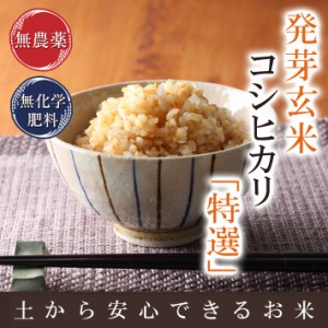 発芽玄米 無農薬コシヒカリ「特選」 3kg 無洗米 令和5年福井県産 限定米 無農薬・無化学肥料栽培 食物繊維・ビタミンB群・GABAが豊富 ア