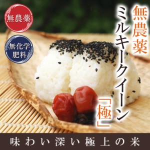 無農薬 米 玄米 3kg 無農薬 ミルキークイーン 「極」 令和5年福井県産 限定米 送料無料 無農薬・無化学肥料栽培 米・食味鑑定士認定 米 