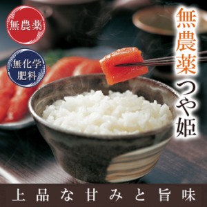 無農薬 玄米 米 2kg 無農薬 つや姫 令和5年宮城県産 限定米 送料無料 無農薬・無化学肥料栽培 米・食味鑑定士認定米 米 無農薬 無農薬米 