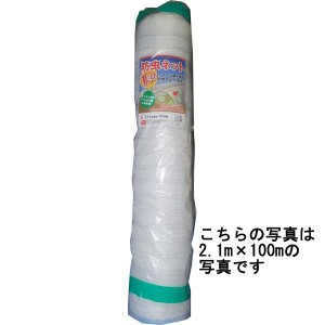 防虫ネット　１mm目合　2.1m×20m　防虫網【送料無料】