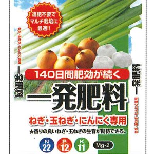 セントラルグリーン　一発肥料　ねぎ・玉ねぎ・にんにく専用　10kg