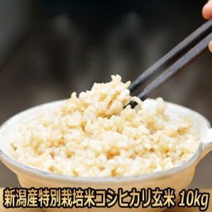 玄米 30kg 農家の通販｜au PAY マーケット