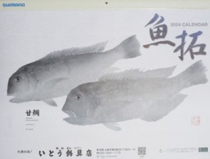 2024年 シマノ 魚拓 カレンダー