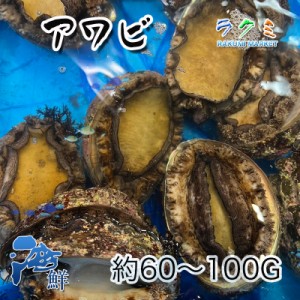 天然 活アワビ 国産 １kg 1個 約60〜100g 刺身 中華風 天ぷら 炊き込みご飯