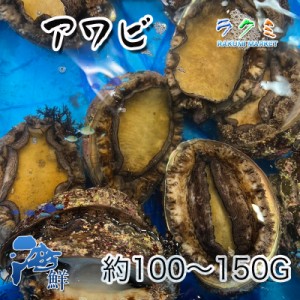 天然 活アワビ 国産 １kg 1個 約100〜150g 刺身 中華風 天ぷら 炊き込みご飯