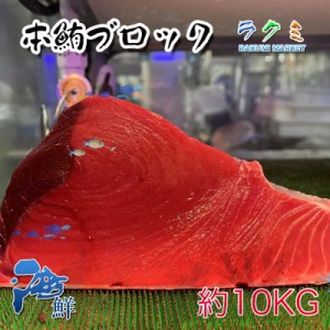 本マグロ ブロック 約8kg ほんまぐろ 鮪 赤身魚 刺身 ねぎま鍋 塩焼き 唐揚げ ゆでる