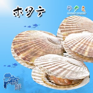 殻付 ホタテ 3枚 国産 ほたて 帆立 プリプリ バーベキュー お刺身 天ぷら 煮物 焼き物 バター焼き 酒蒸し