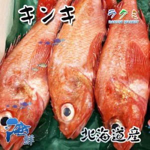 新鮮 キンキ 1kg（約２〜４尾）北海道産 きんき きちぎ 高級魚 塩焼き 唐揚げ 刺身