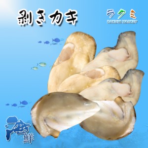 生むき 牡蠣 500g(約13-20個) 国内産 牡蠣 かき カキ 牡蛎 (約3-5人前) 加熱用 大人気 高品質 剥きかき