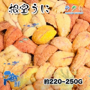 【海の幸】生ウニ 5p（１p約 220〜250g） うに 北海道 ウニチャーハン 寿司