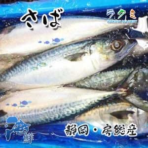 業務用 静岡・房総産 ゴマサバ 5kg（約7-9尾入）鯖 さば 塩焼き 煮もの 唐揚げ 