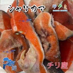 鮭 カマ 切身 切り落とし 甘塩 約1kg チリ産 紅鮭 塩焼 冷凍